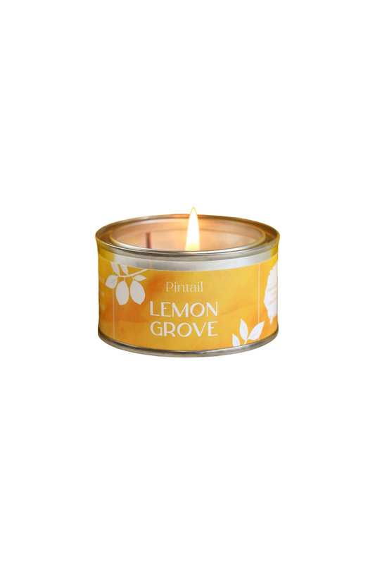 Lemon Grove Paint Pot
