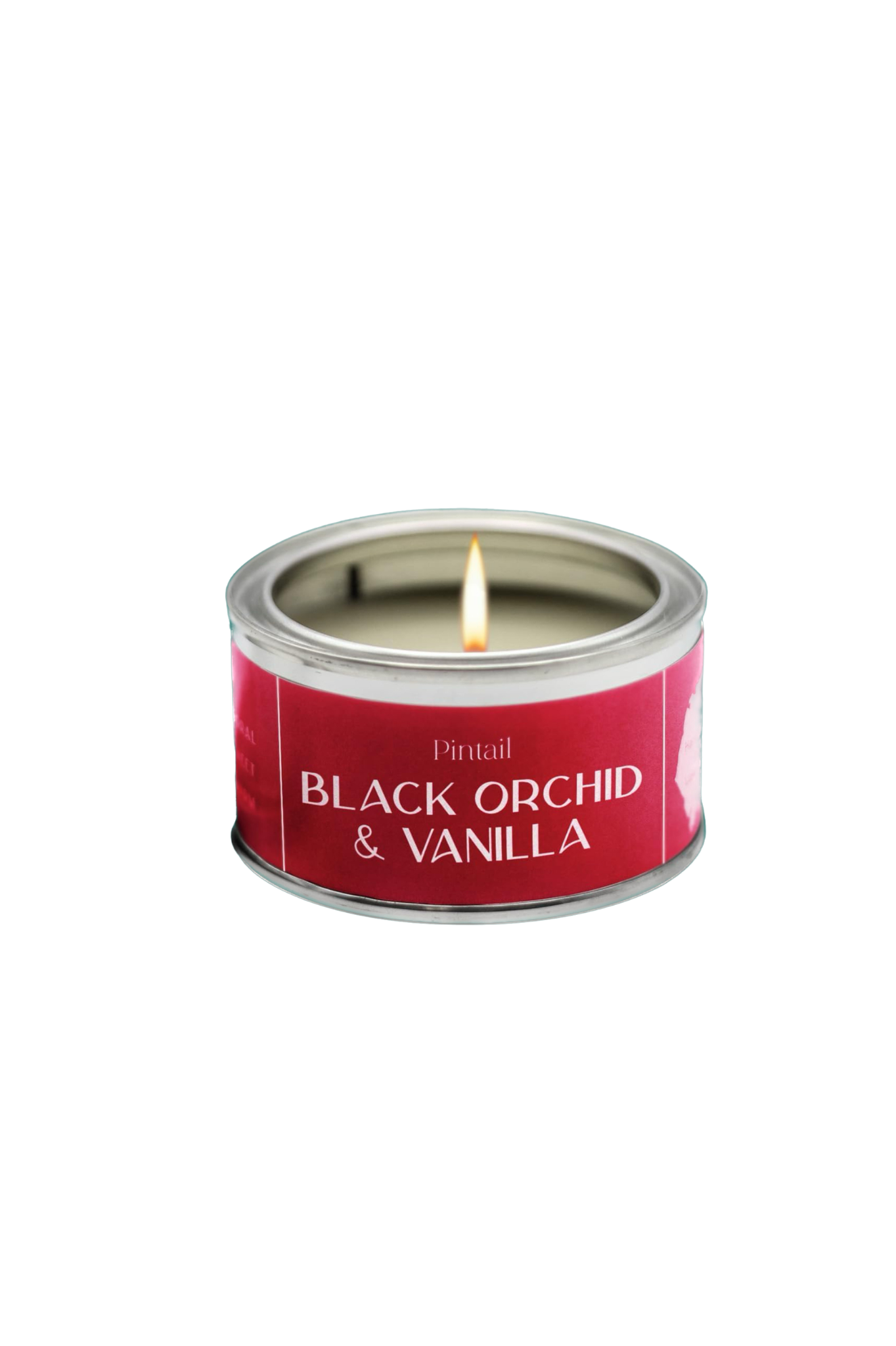 Black Orchid & Vanilla Paint Pot